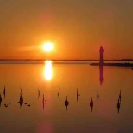 Alpehytte Des Flamands Rose Marseillan (Herault)